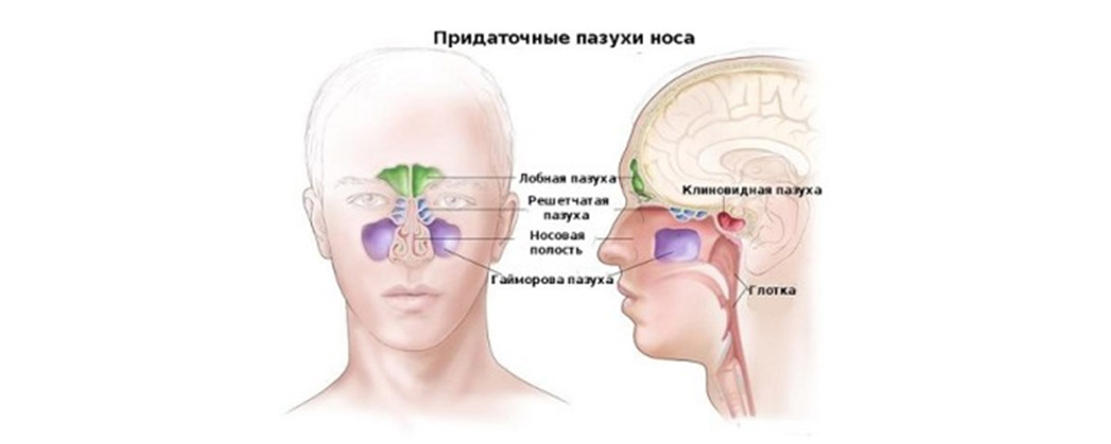 МРТ ПРИДАТОЧНЫХ ПАЗУХ НОСА